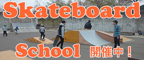 skateboard school